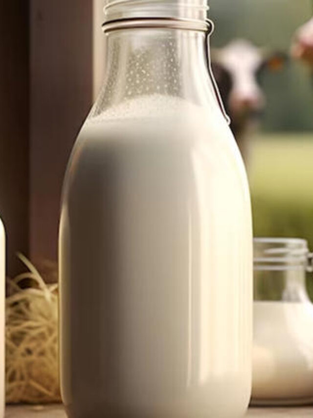 Don’t drink milk This is how you can fulfill your calcium needs
