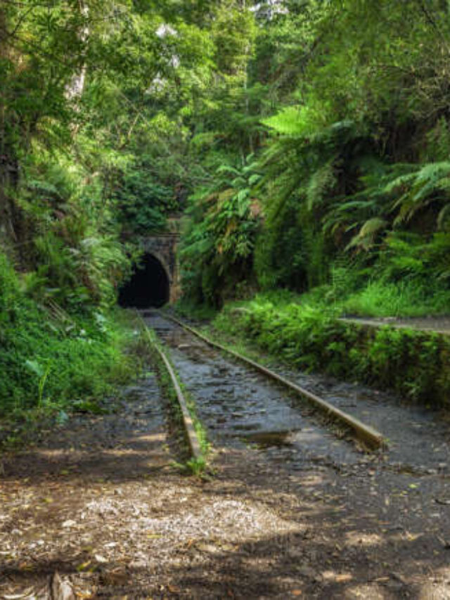 Journey to the World’s Abandoned Train Stations Left to Crumble